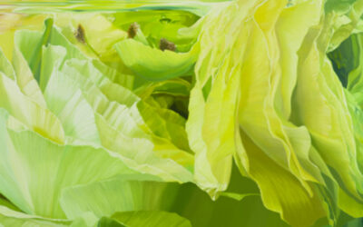 ROLF GITH. NEWS OF VISIBLE